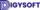 digysoft.com